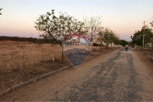 Venda-Terreno-Loteamento Conviver Iguatu , Quadra 07, lote 08  - Jardim Oásis , Iguatu , Ceará , 63500000-720931002-363