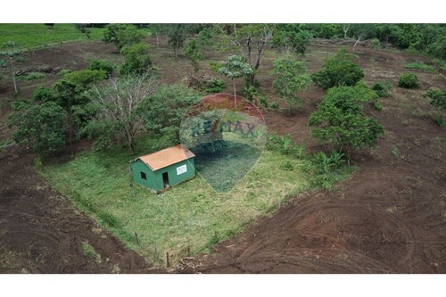 Venda-Chácara / Sítio / Fazenda-Centro , Jaciara , Mato Grosso , 78.820-000-722201043-14