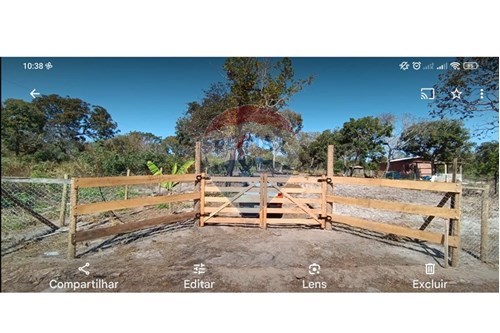 Venda-Chácara / Sítio / Fazenda-Juscimeira , Juscimeira , Mato Grosso , 78810000-721981032-70