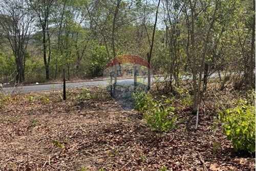 Venda-Chácara / Sítio / Fazenda-Rondonópolis , Rondonópolis , Mato Grosso , 78750899-720611061-4