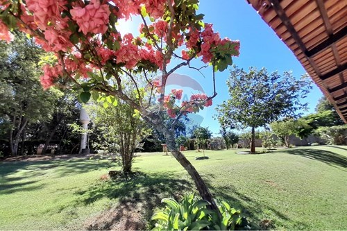Venda-Chácara / Sítio / Fazenda-Centro , Nova Veneza , Goiás , 75470000-722271005-32