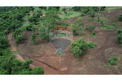Venda-Chácara / Sítio / Fazenda-Centro , Jaciara , Mato Grosso , 78.820-000-722201043-36