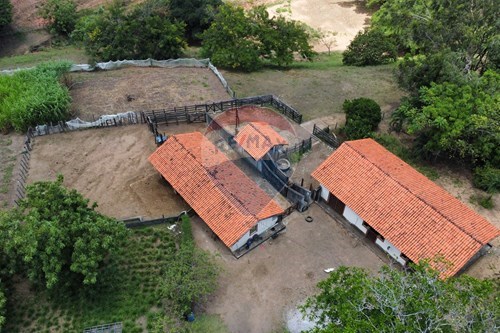 Venda-Chácara / Sítio / Fazenda-Cidade Balneária Novo Mundo I , Conde , Paraíba , 58322000-722011055-33