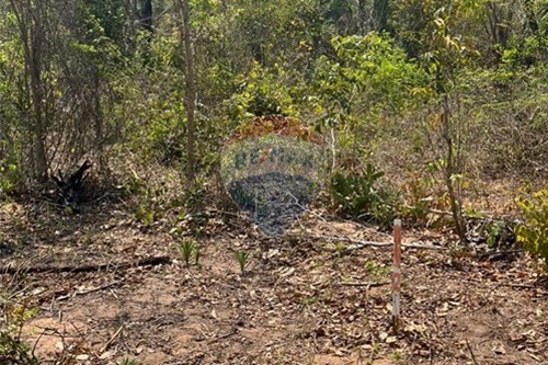 Venda-Chácara / Sítio / Fazenda-Rondonópolis , Rondonópolis , Mato Grosso , 78750899-720611061-16