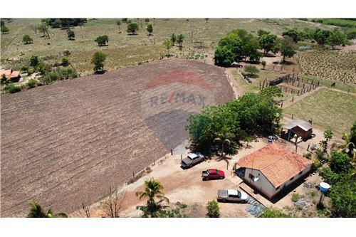 For Sale-Farm-São José do povo sentido a pedra preta , 00  - São José do Povo , São José do Povo , Mato Grosso , 78773000-720611007-1