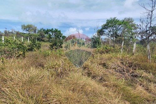 Venda-Terreno-rua dos Jatobás- Tabatinga 2 , S/N  - Cidade Balneária Novo Mundo I , Conde , Paraíba , 58322-000-720471019-134
