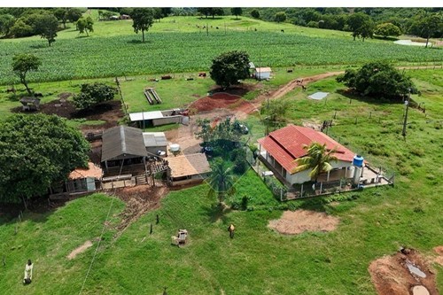 Venda-Chácara / Sítio / Fazenda-Juscimeira , Juscimeira , Mato Grosso , 78810000-722201031-2