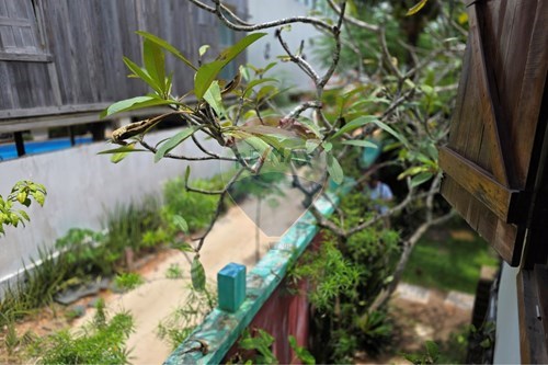 Slider Image Thumbnail