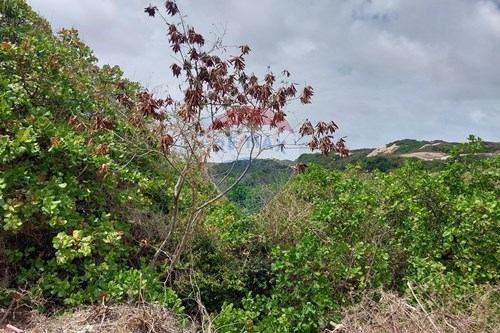 Slider Image Thumbnail