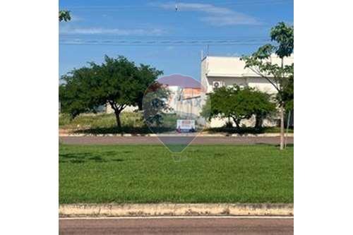 For Sale-Land-JD BELO HORIZONTE , Sinop , Mato Grosso , 78556310-721561016-27