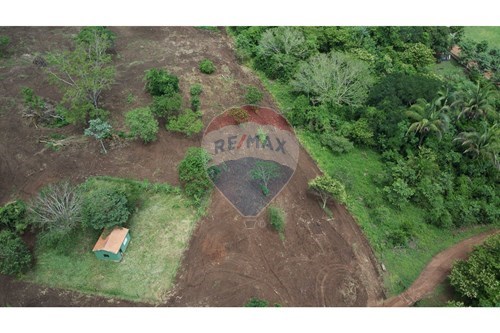 Venda-Chácara / Sítio / Fazenda-Centro , Jaciara , Mato Grosso , 78.820-000-722201043-40