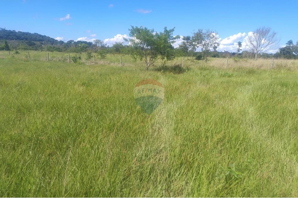 Chácara / Sítio / Fazenda - Venda - Confresa , Mato Grosso - IMG-20250926-WA0031 - Copia.jpg - 720641046-11