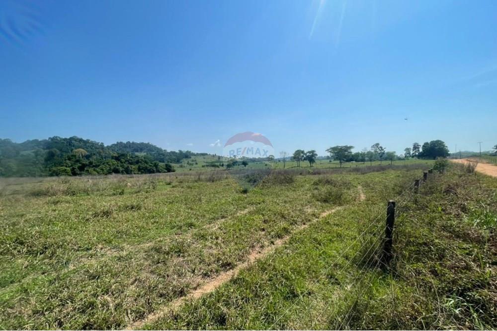 Chácara / Sítio / Fazenda - Venda - Ministro Andreazza , Rondônia - 215.jpg - 722311011-37