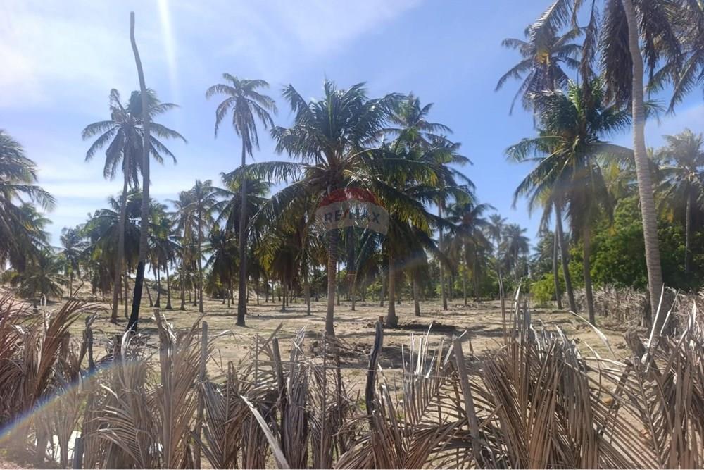 Terreno - Venda - Trairi , Ceará - WhatsApp Image 2026-01-28 at 14.05.58.jpeg - 722341005-47