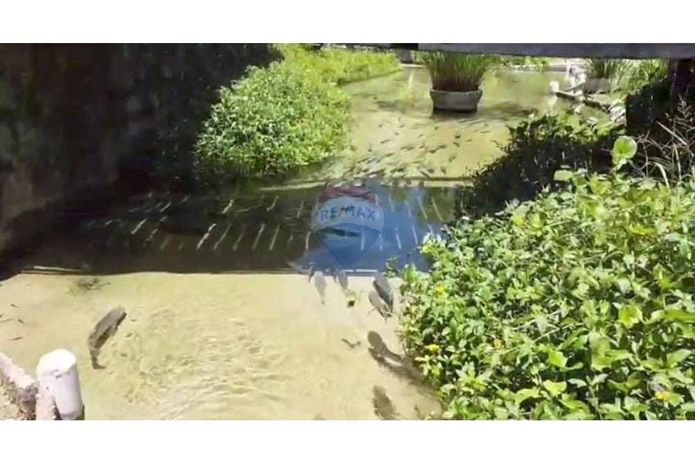 Chácara / Sítio / Fazenda - Venda - Nísia Floresta , Rio Grande do Norte - WhatsApp Image 2025-04-05 at 17.55.23.jpeg - 720731020-103