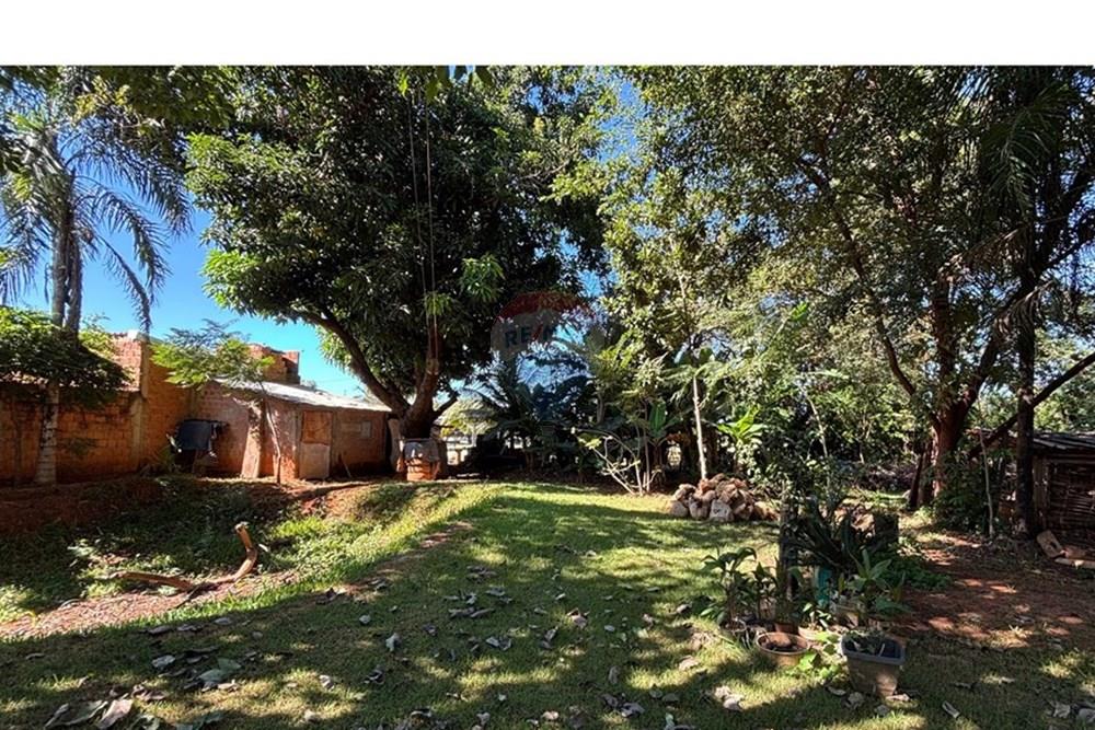 Chácara / Sítio / Fazenda - Venda - Rondonópolis , Mato Grosso - e6b0ec73-0422-4c0c-8f65-9252d0b63750.jpg - 720851044-17