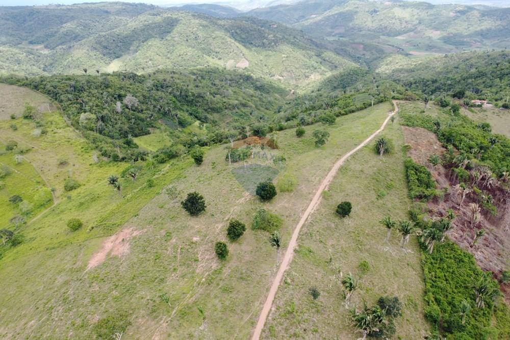 Chácara / Sítio / Fazenda - Venda - Areia , Paraíba - DJI_0429.JPG - 722011055-52