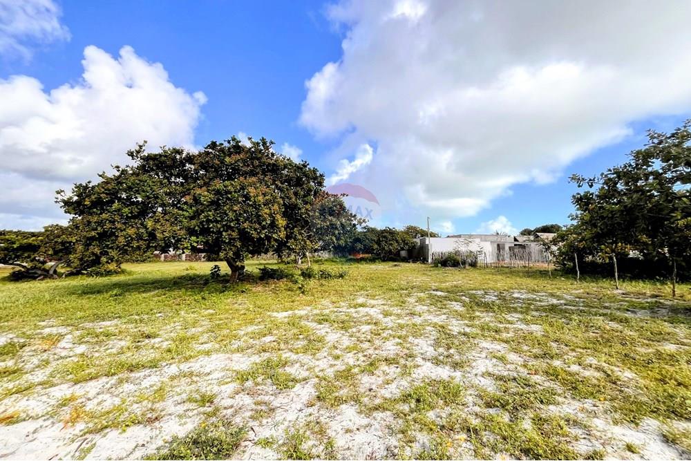 Terreno - Venda - São Miguel do Gostoso , Rio Grande do Norte - WhatsApp Image 2025-06-28 at 09.43.34 (3).jpeg - 720891134-1590