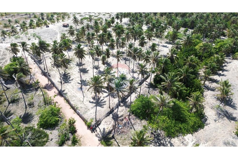 Terreno - Venda - Trairi , Ceará - WhatsApp Image 2026-02-13 at 16.45.35.jpeg - 722341005-47