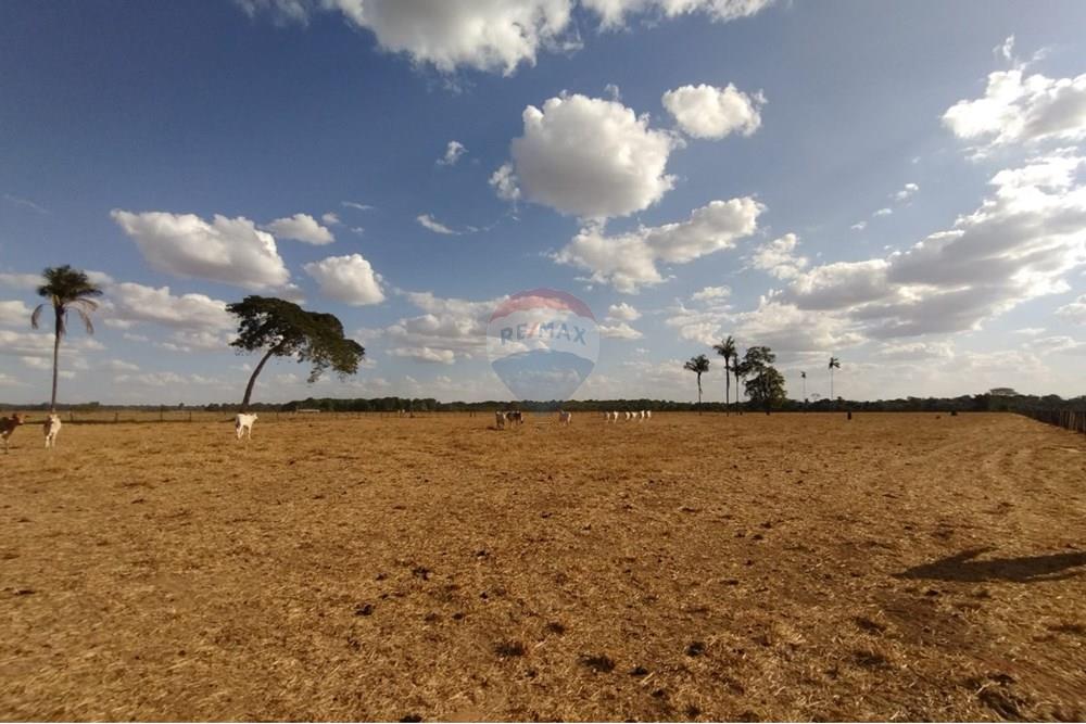 Residencial - Granja - Sinop , Mato Grosso - BR - WhatsApp Image 2025-08-07 at 14.46.29 (4).jpeg - 721561039-35