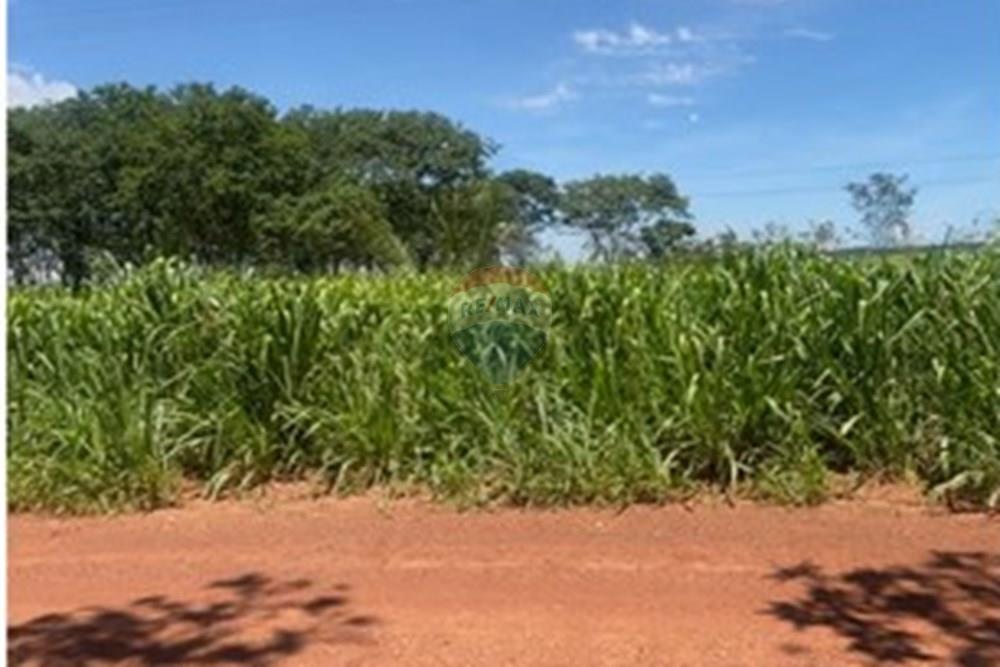 Agro - Venda - Rondonópolis , Mato Grosso - 1.jpeg - 720851027-140