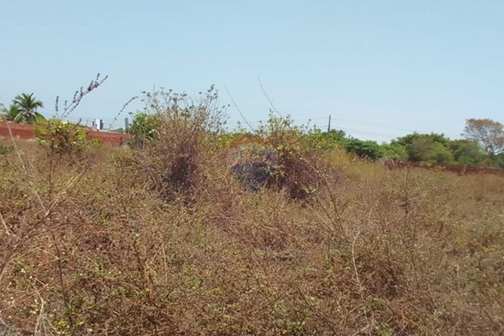 Terreno - Venda - Beberibe , Ceará - WhatsApp Image 2025-09-10 at 11.55.27.jpeg - 721621165-53
