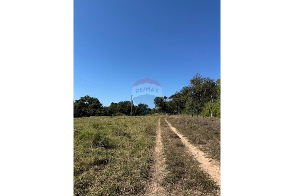 Fazenda - Venda - Santo Antônio do Leverger , Mato Grosso - c66edf03-df73-474f-a321-a9e7727e21b0.jpeg - 720611035-41