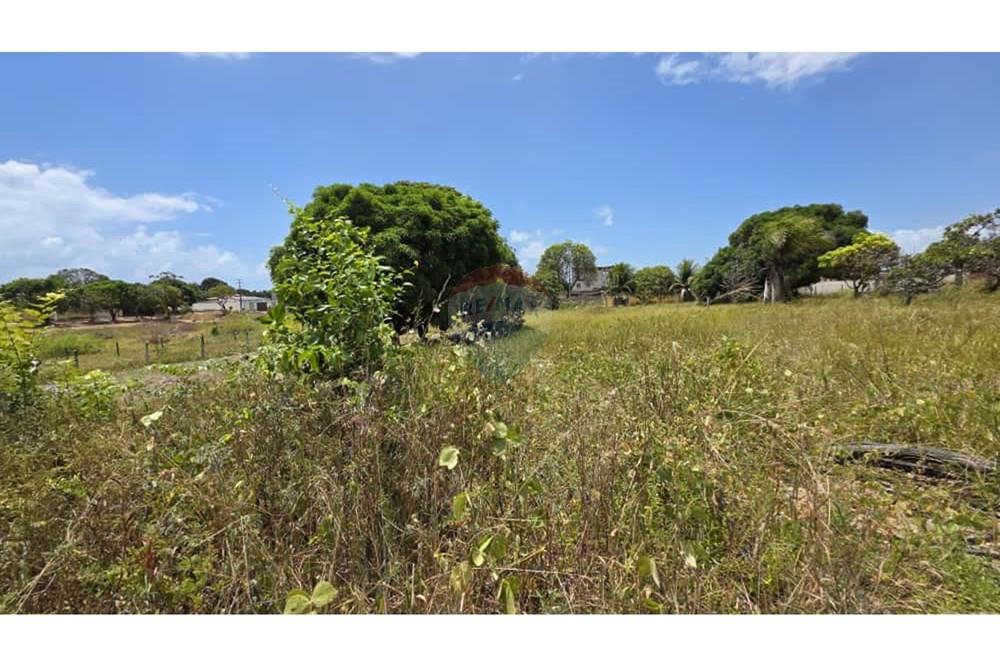 Terreno - Venda - Conde , Paraíba - b25582a2-d8e0-4d47-b437-0320ac8b73eb.jpg - 720871015-136