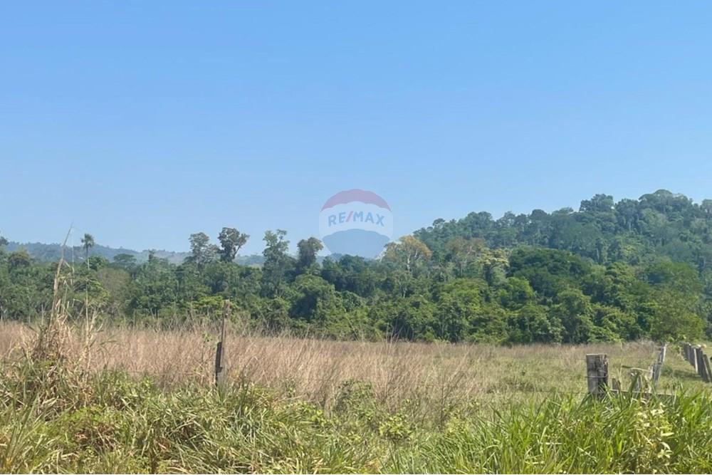 Chácara / Sítio / Fazenda - Venda - Ministro Andreazza , Rondônia - 212.jpg - 722311011-37