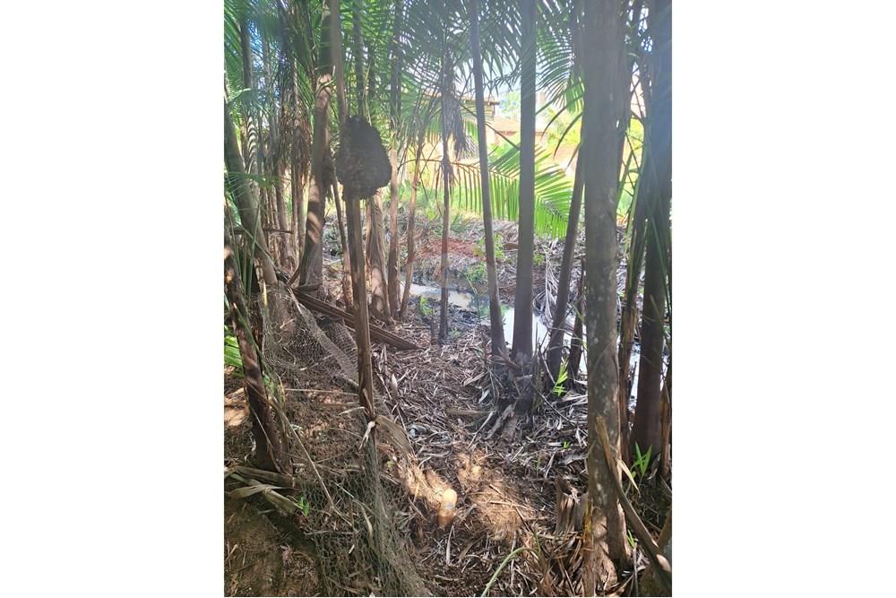 Terreno - Venda - Marabá , Pará - IMG-20250521-WA0045.jpg - 722131001-77