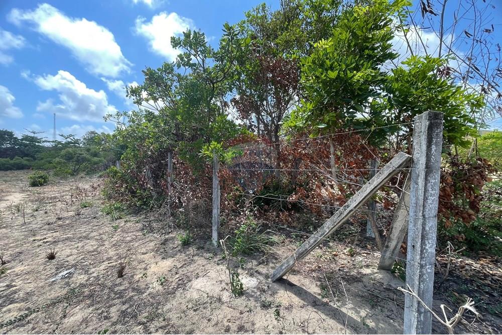 Terreno - Venda - Conde , Paraíba - WhatsApp Image 2025-01-02 at 15.01.09.jpeg - 720871004-173