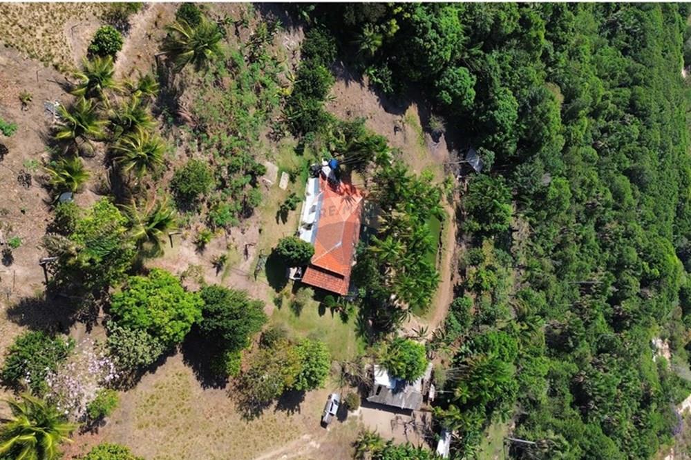 Chácara / Sítio / Fazenda - Venda - Araguaína , Tocantins - IMG_9041.JPG - 722171030-16