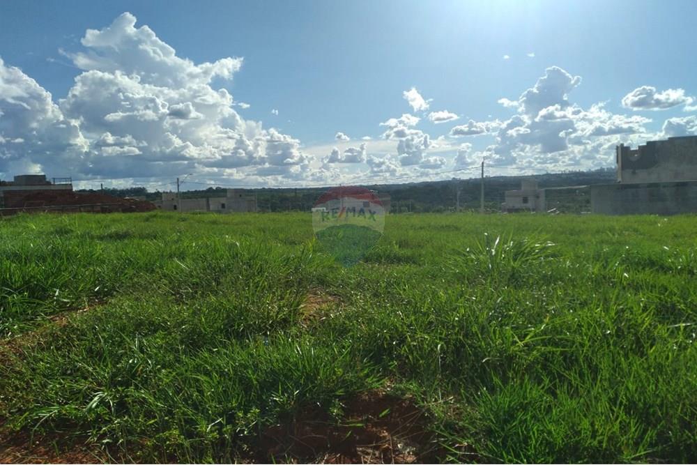 Terreno - Venda - Senador Canedo , Goiás - 1.jpg - 722271003-43