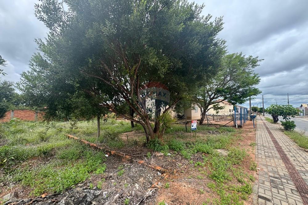 Terreno - Venda - Araguaína , Tocantins - WhatsApp Image 2026-04-06 at 13.26.10 (1).jpeg - 722171060-1