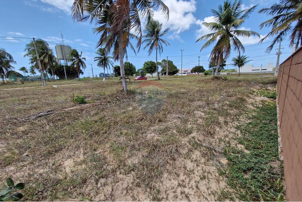 Terreno - Venda - Nísia Floresta , Rio Grande do Norte - 20240926_112749.jpg - 720811001-60