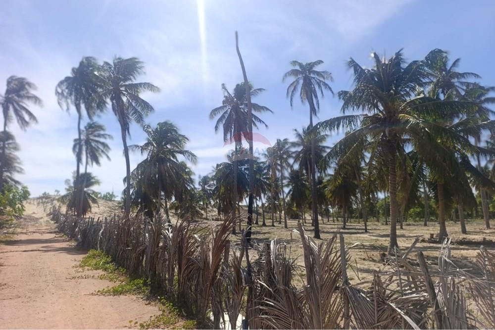 Terreno - Venda - Trairi , Ceará - WhatsApp Image 2026-01-28 at 14.05.56.jpeg - 722341005-47