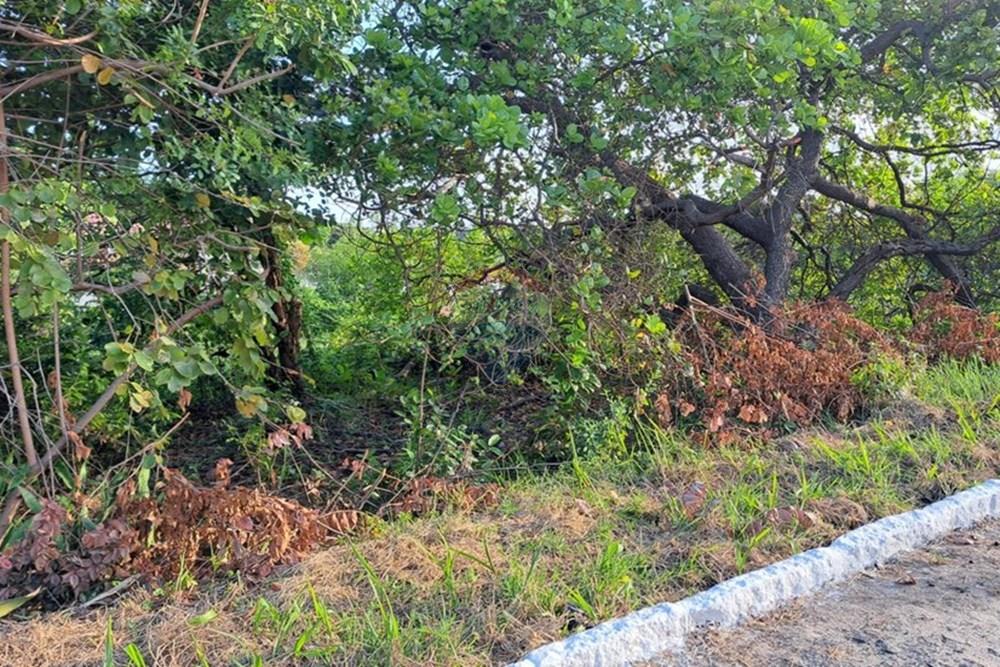 Terreno - Venda - Conde , Paraíba - 1c1df89c-26a5-4c6c-8664-5c9c486ea2b6.jpeg - 720471098-3