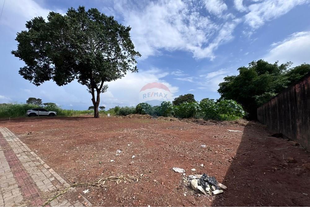 Terreno - Venda - Araguaína , Tocantins - WhatsApp Image 2026-02-02 at 16.29.35 (2).jpeg - 720991002-161