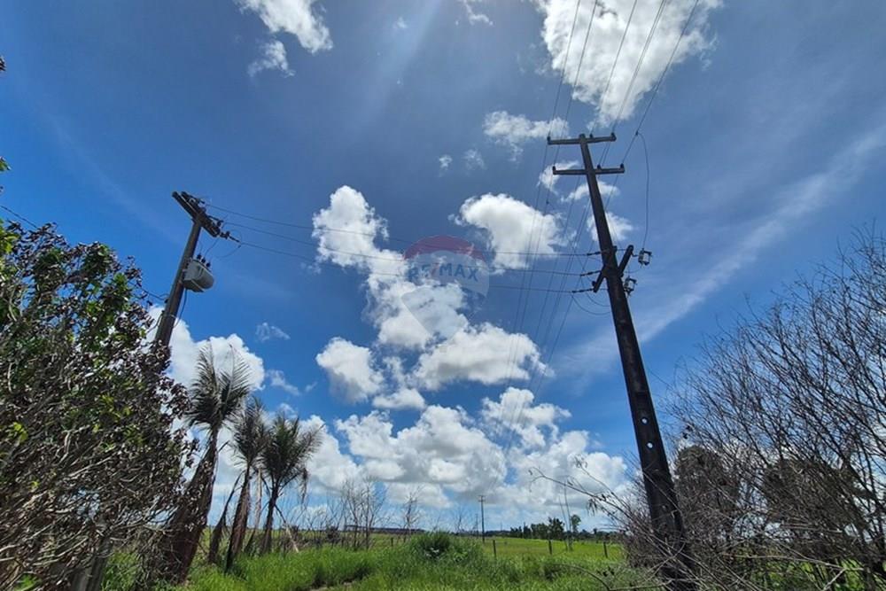 Galpão - Alugar - Pedras de Fogo , Paraíba - 20250207_102947.jpg - 722011055-40