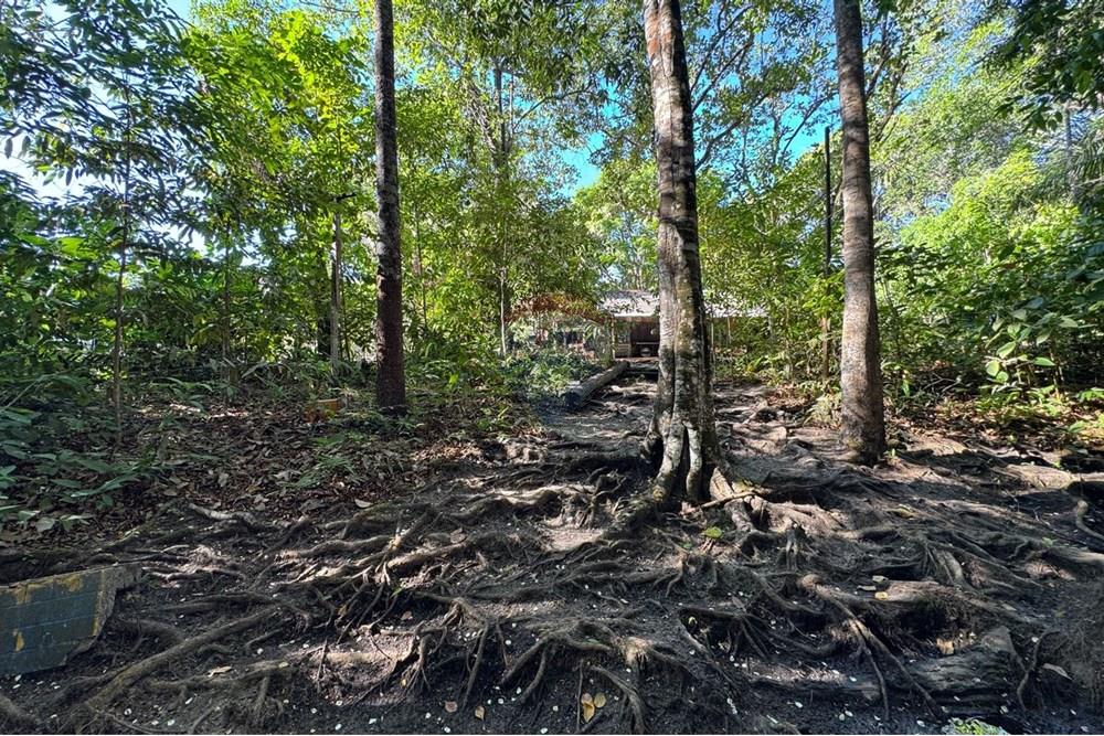 Chácara / Sítio / Fazenda - Venda - Babaçulândia , Tocantins - PHOTO-2025-09-02-09-36-02 (3).jpg - 720991008-76