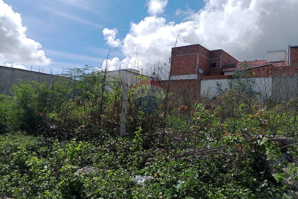 Terreno - Venda - Queimadas , Paraíba - IMG_20260216_084851_838.jpg.jpeg - 720291095-18