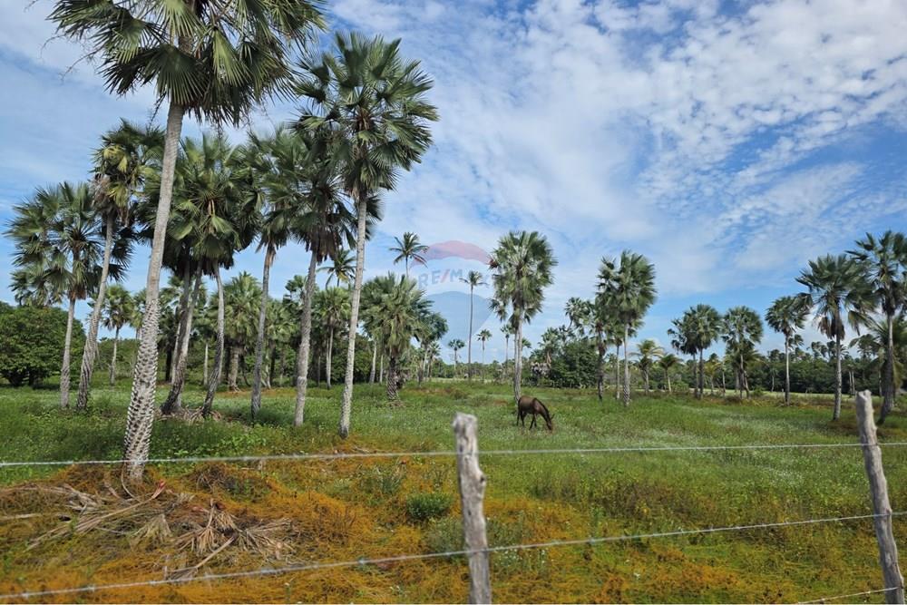 Terreno - Venda - Acaraú , Ceará - 1000542802.jpg - 722341001-188