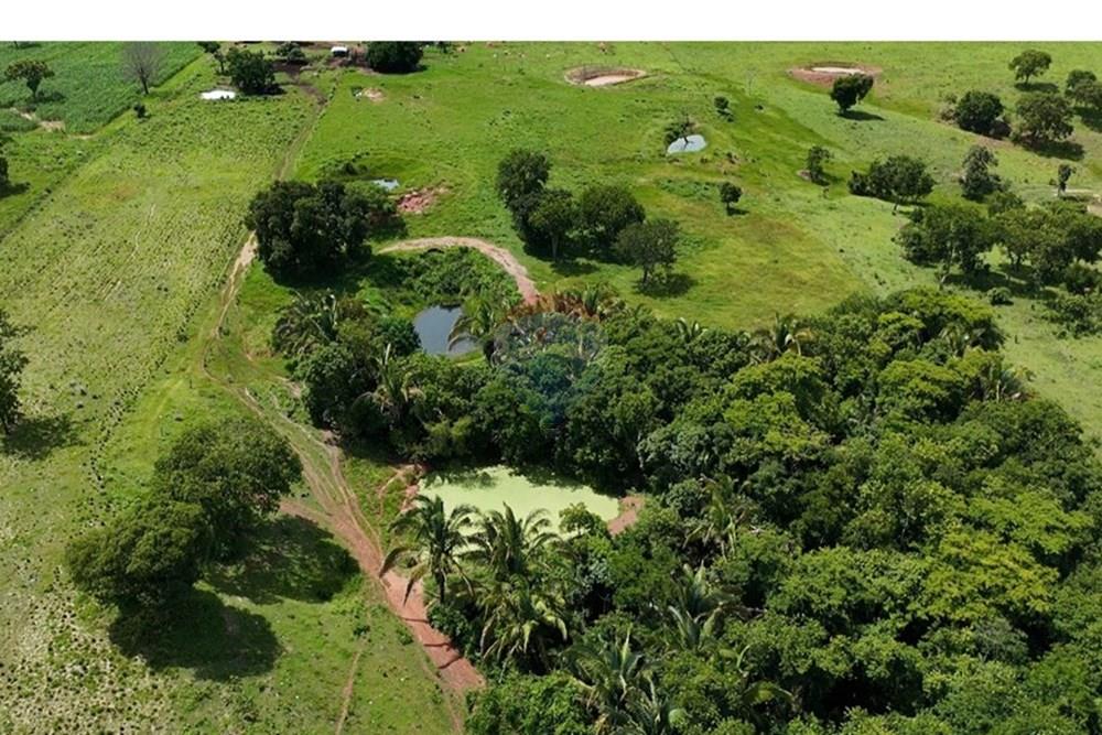 Chácara / Sítio / Fazenda - Venda - Juscimeira , Mato Grosso - WhatsApp Image 2026-02-03 at 16.05.22.jpeg - 722201031-2