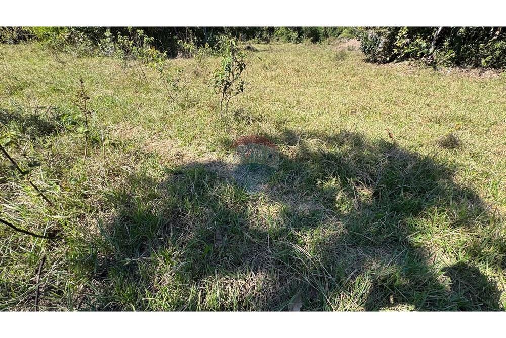 Fazenda - Venda - Santo Antônio do Leverger , Mato Grosso - 0bbadfaf-7bf5-4f85-9bc8-e227957e8c13.jpeg - 720611035-41