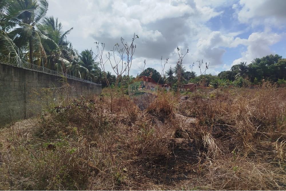 Terreno - Venda - Nísia Floresta , Rio Grande do Norte - WhatsApp Image 2024-11-22 at 21.32.40 (2).jpeg - 720891013-275