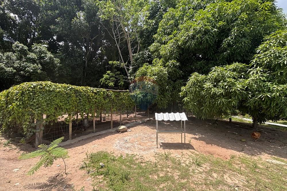 Terreno - Venda - Conde , Paraíba - IMG_0385.jpeg - 720871018-124