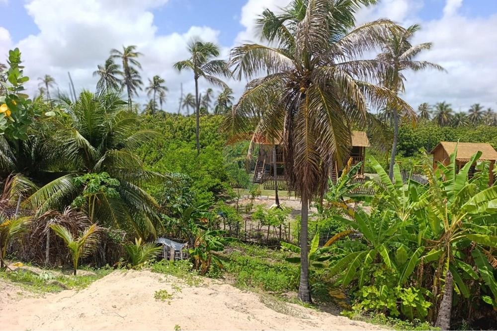 Casa - Venda - Trairi , Ceará - WhatsApp Image 2026-02-28 at 11.09.06 (1).jpeg - 722341005-58