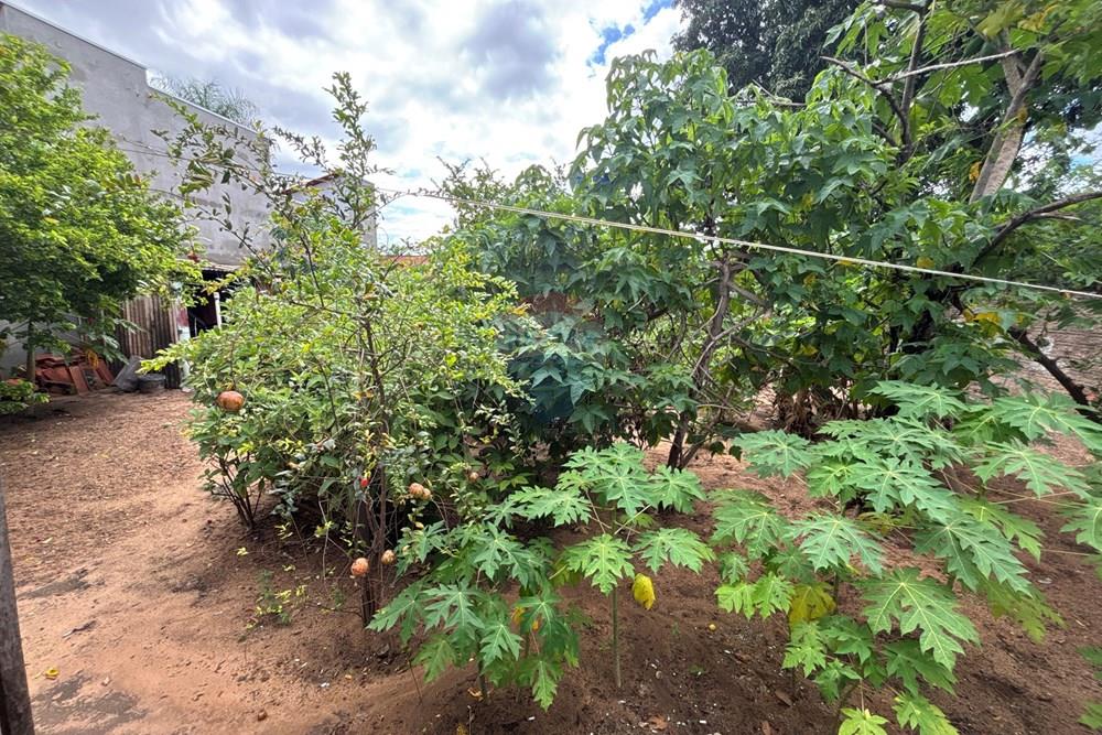 Casa - Venda - Barra do Garças , Mato Grosso - IMG_6229.JPG.jpeg - 722221009-71