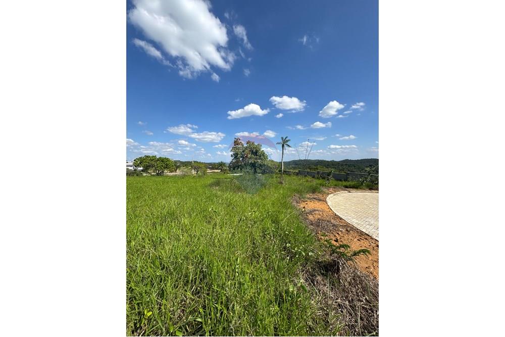 Terreno - Venda - Bananeiras , Paraíba - WhatsApp Image 2025-01-22 at 09.47.10 (11).jpeg - 720551002-74