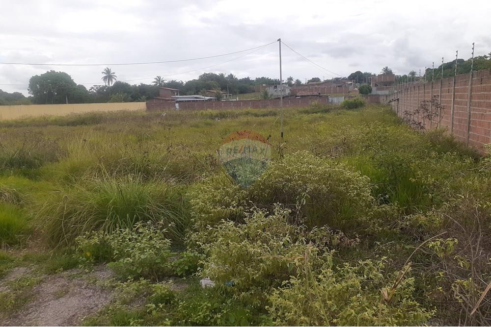 Hotel/ Pousada - Venda - Macaíba , Rio Grande do Norte - 20250517_132259.jpg - 720731014-42